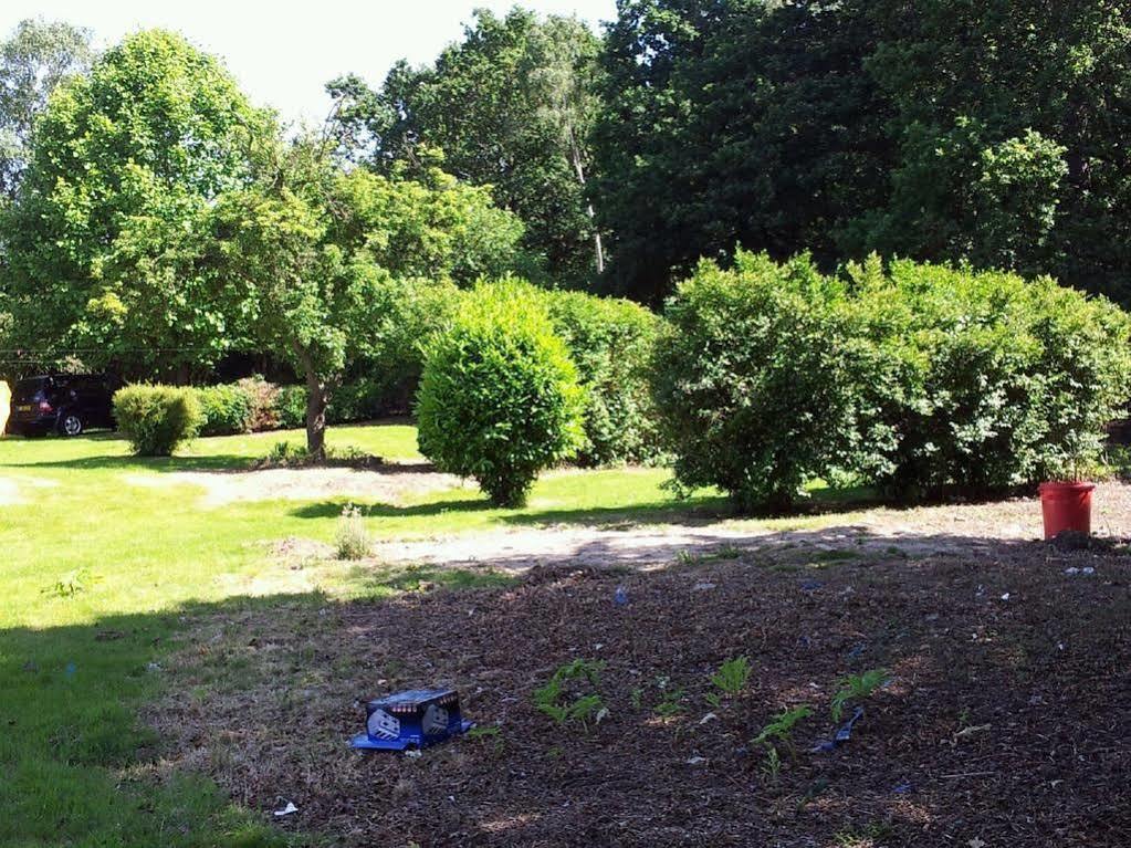 Ruxley Rooms Sidcup Exteriér fotografie